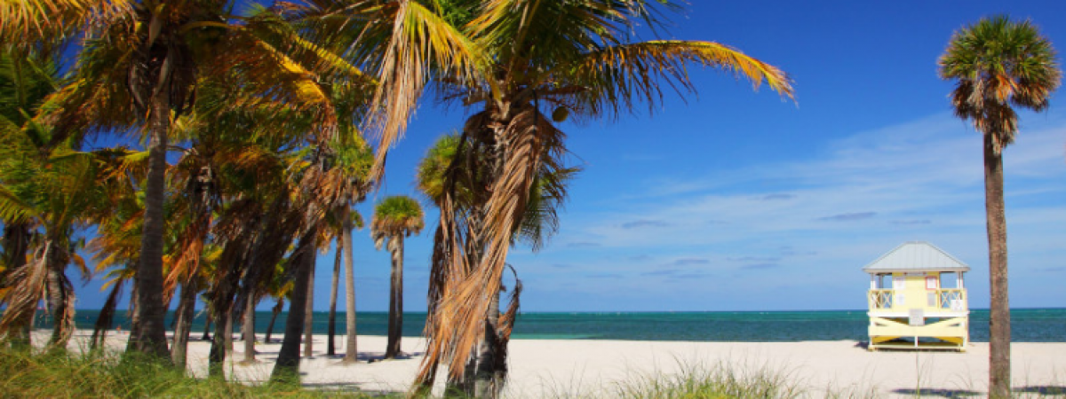 Crandon Beach Park Miami