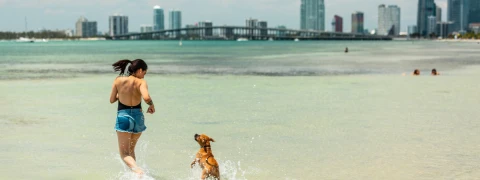 Hero Display Image   – provided by Greater Miami & Miami Beach