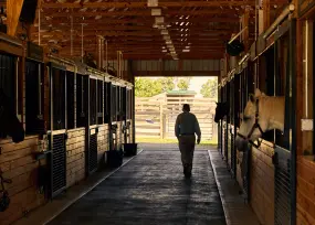 Hero Display Image   – provided by Kentucky Tourism