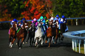 Hero Display Image   – provided by Kentucky Tourism