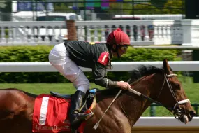 Hero Display Image   – provided by Kentucky Tourism