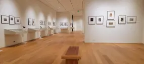 Hero Display Image   – provided by Visit St. Pete/Clearwater