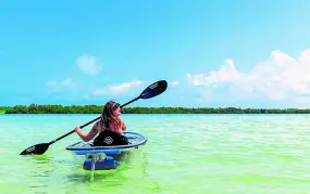 Hero Display Image   – provided by Visit St. Pete/Clearwater