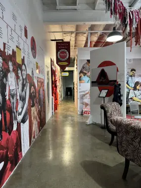 Hero Display Image   – provided by Visit St. Pete/Clearwater