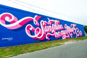 Hero Display Image   – provided by Visit St. Pete/Clearwater