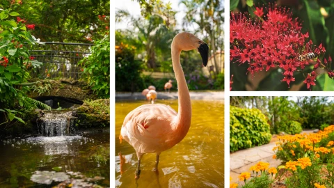 Dank des ganzjährig warmen Klimas locken abseits der Küste in St. Pete-Clearwater auch vielfältige Gartenlandschaften.  | Dank des ganzjährig warmen Klimas locken abseits der Küste in St. Pete-Clearwater auch vielfältige Gartenlandschaften. |   – provided by Visit St. Pete-Clearwater