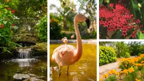 Dank des ganzjährig warmen Klimas locken abseits der Küste in St. Pete-Clearwater auch vielfältige Gartenlandschaften.  | Dank des ganzjährig warmen Klimas locken abseits der Küste in St. Pete-Clearwater auch vielfältige Gartenlandschaften. |   – provided by Visit St. Pete-Clearwater