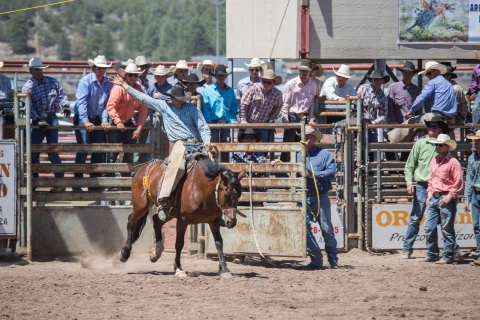 Hero Display Image   – provided by Experience Williams