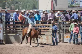 Hero Display Image   – provided by Experience Williams