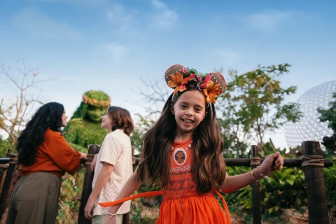 Hero Display Image   – provided by The Walt Disney Company