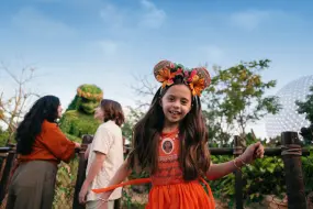 Hero Display Image   – provided by The Walt Disney Company