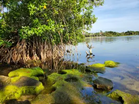 Hero Display Image   – provided by Florida's Space Coast
