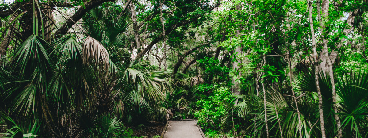 Wildnis-Entdeckungs-Touren an der Space Coast